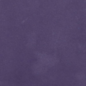 Dark PurpleSJ-PU08